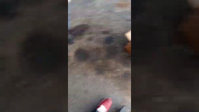 2008 lexus gs 350 alternator changing смотреть онлайн