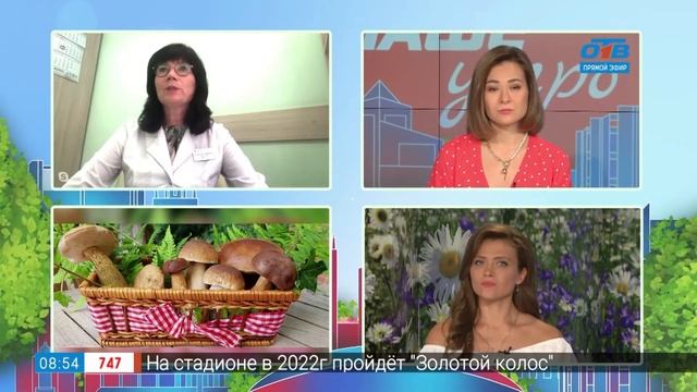 Грибы жареные или варёные? — Гость на связи смотреть онлайн