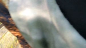 Катаемся на квадрике!! 300 кубов! Веселье только начинается!!!