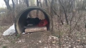 бомж в трубе в лесу срет