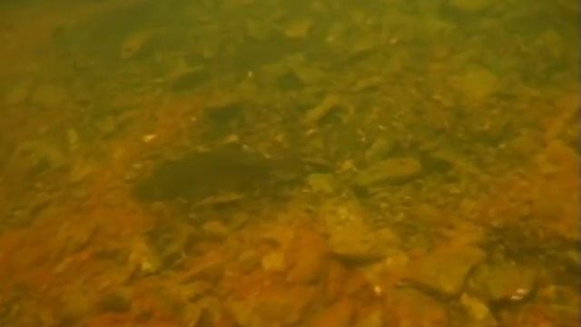 Магадан 50 на 50 Часть 2 смотреть онлайн