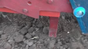 Посев свеклы (буряка) мотоблоком!