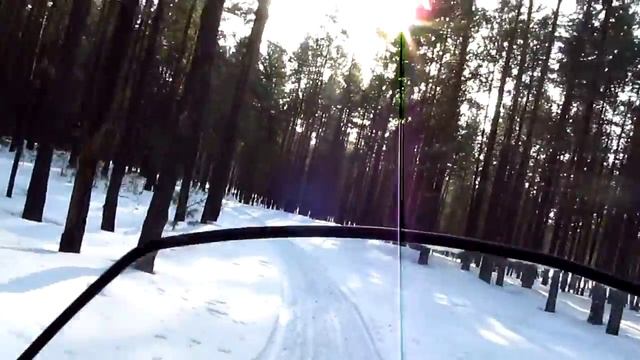 В зимнем лесу на снегоходе SWT 550 смотреть онлайн