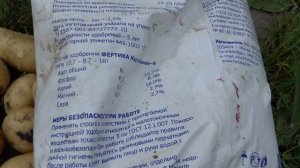 Как вырастить большой урожай картофеля на подмосковной даче.