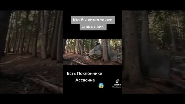 ТОП!!! Ассасин в реальной жизни! #shorts