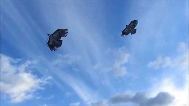 Воздушный змей Быстрый сокол Парное выступление смотреть онлайн