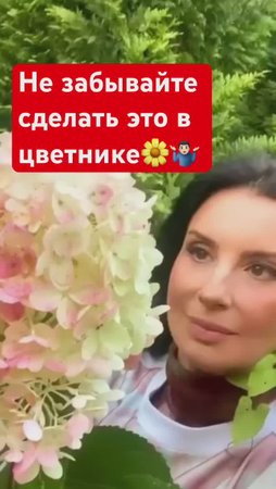 90% садоводов ЗАБЫВАЮТ сделать это в мае 🤷🏻♂️🌺