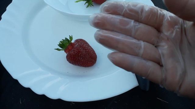 Азия 2020г.- крупноплодная клубника КСД (раннего срока созревания) смотреть онлайн