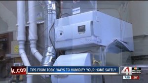 Tips from Toby: ways to humidify your home safely