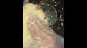 ? cooking time! ? рецепт творожного пирога ???творожник,  творожный пирог ❤