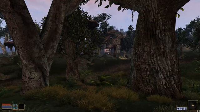 Morrowind: секретный путь в Пелагиад смотреть онлайн