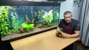 Фарш для Дискусов и не только. Простой рецепт.