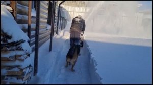 Снегоуборщик sterwins. Уборка снега.