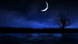 Ночь. река. футаж