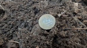 BRD Старая Смоленская дорога Копаю под Можайском