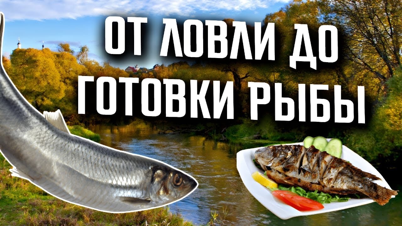 Самый_простой_рецепт_приготовления_рыбы_