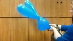 Надувание гелием фигуры зайца из латекса