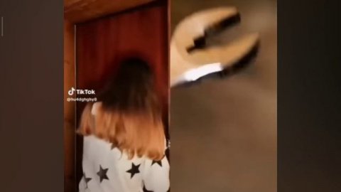 сборник шортс Таня яста