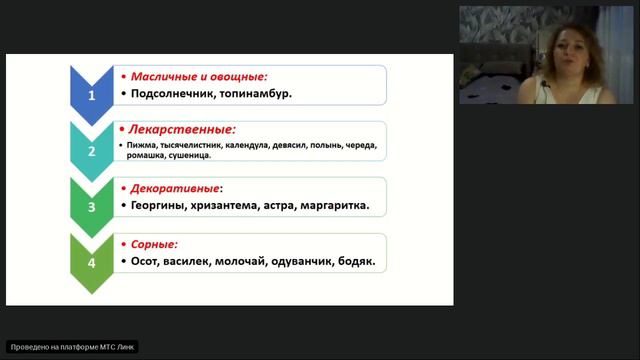 Семейства Пасленовые и Сложноцветные