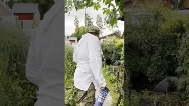 Чистит всё, кроме испорченных отношений! смотреть онлайн