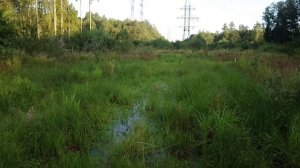 Стелс леопард 650, проверка выноса радиатора.