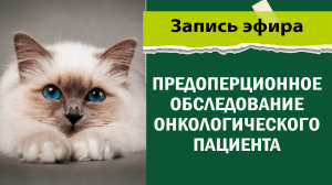 Предоперационное обследование онкологического пациента