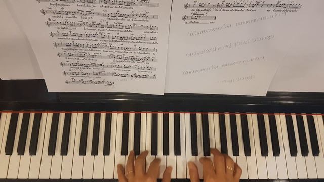 ดอกไม้กับแจกัน - Piano смотреть онлайн