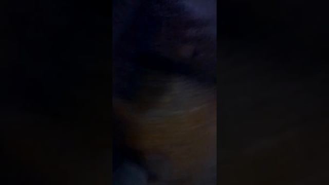 Скамья на возврат в магазин спортлим видео 1 смотреть онлайн