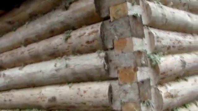 Баня МСК: сруб бани 3х4, рубка в лапу, бревно смотреть онлайн