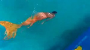 Как я научилась плавать в хвосте русалки