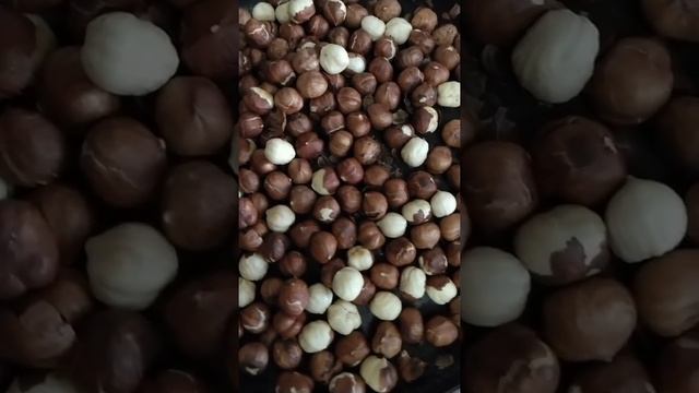 #фундук #fındıq #fındık #hazelnut #qaxfındığı      как правильно жарить фундук