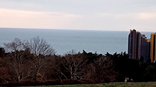 Самая высокая точка в дендрарии в сочи смотреть онлайн