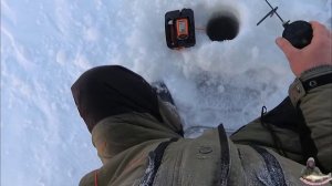 глухозимье;поиск судака;река кама#кама #судак #глухозимье