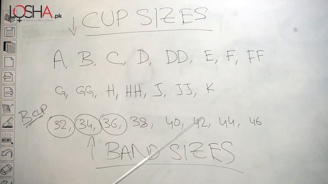 What is Band Size and Cup Size in Bra Measurement? - Losha.pk смотреть онлайн