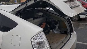 Газовый упор NAKAYAMA, деньги на выброс.