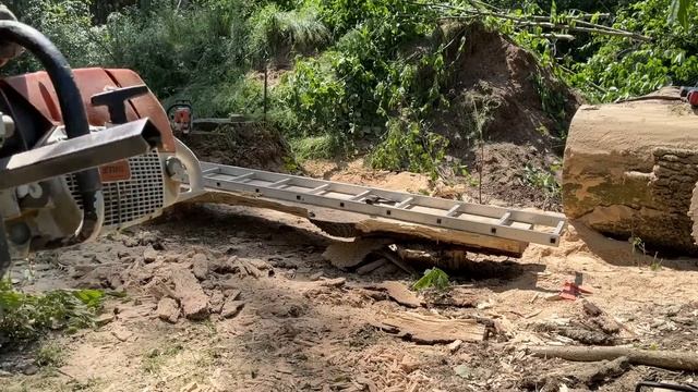 Abandoned Oak Log and Amazing Chainsaw Mill смотреть онлайн