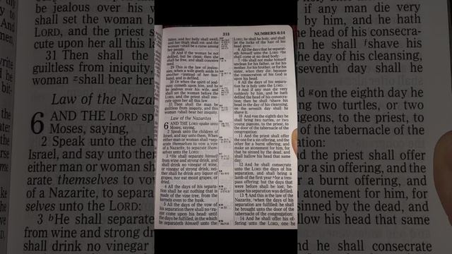 Numbers 6: The Holy Bible Reading.