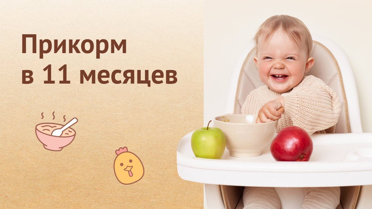 Прикорм ребенка в 11 месяцев. На что обратить внимание? #babyfood #дети #прикорм #11месяцев