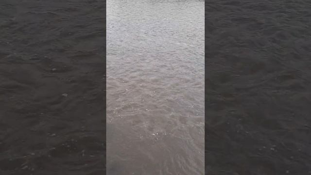 Парк "Победы", г. Горно-алтайск (10.08.2023) #республикаалтай #горноалтайск #обзор #паркпобеды