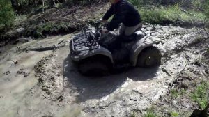 поехали в лес и осушили лужу. просто так. от нечего делать.