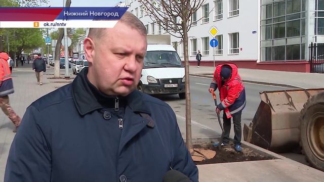 Около 2,5 тысяч деревьев и более 14 тысяч кустарников высадят в Нижнем Новгороде в этом году
