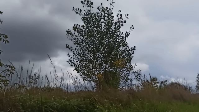 2 ноября народный праздник Артемьев день. Народные приметы и традиции. Запреты дня.