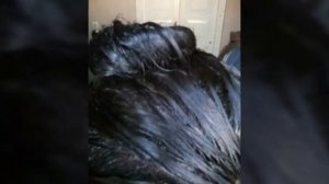 Fito cosmetics Фито крем-краска для волос