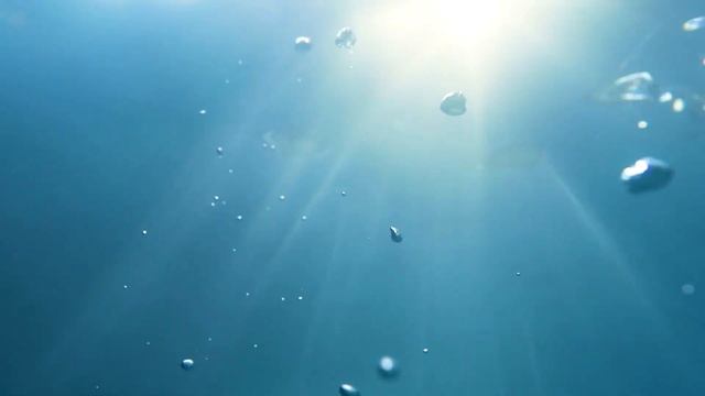 Whale Sound 3 Hours  White Noise  Whale Sound For Relaxation Sleep Study Focus And Meditation