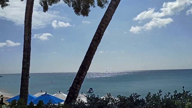 Как живут люди на Барбадосе. Короткая дорога, болталка обо всем. Barbados Island in November смотреть онлайн