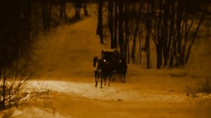 Опала А.Д.  Меньшикова - жизнь в Березове. Биография князя Александра Меньшикова