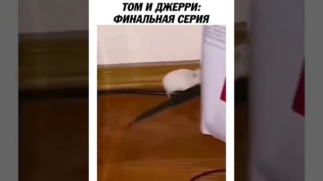 топ прикол