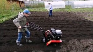 Мотоблок Ока МБ 1д1. Доставка, вспашка, окучка.