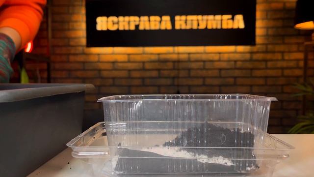 Коли і як сіяти чорнобривці на розсаду. Шок висота 20, діаметр 12см, назва сорту у відео. смотреть онлайн