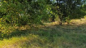 ХОРОШИЙ ДОМ ЗА ХОРОШУЮ ЦЕНУ/ ЛАБИНСКИЙ РАЙОН, КРАСНОДАРСКИЙ КРАЙ